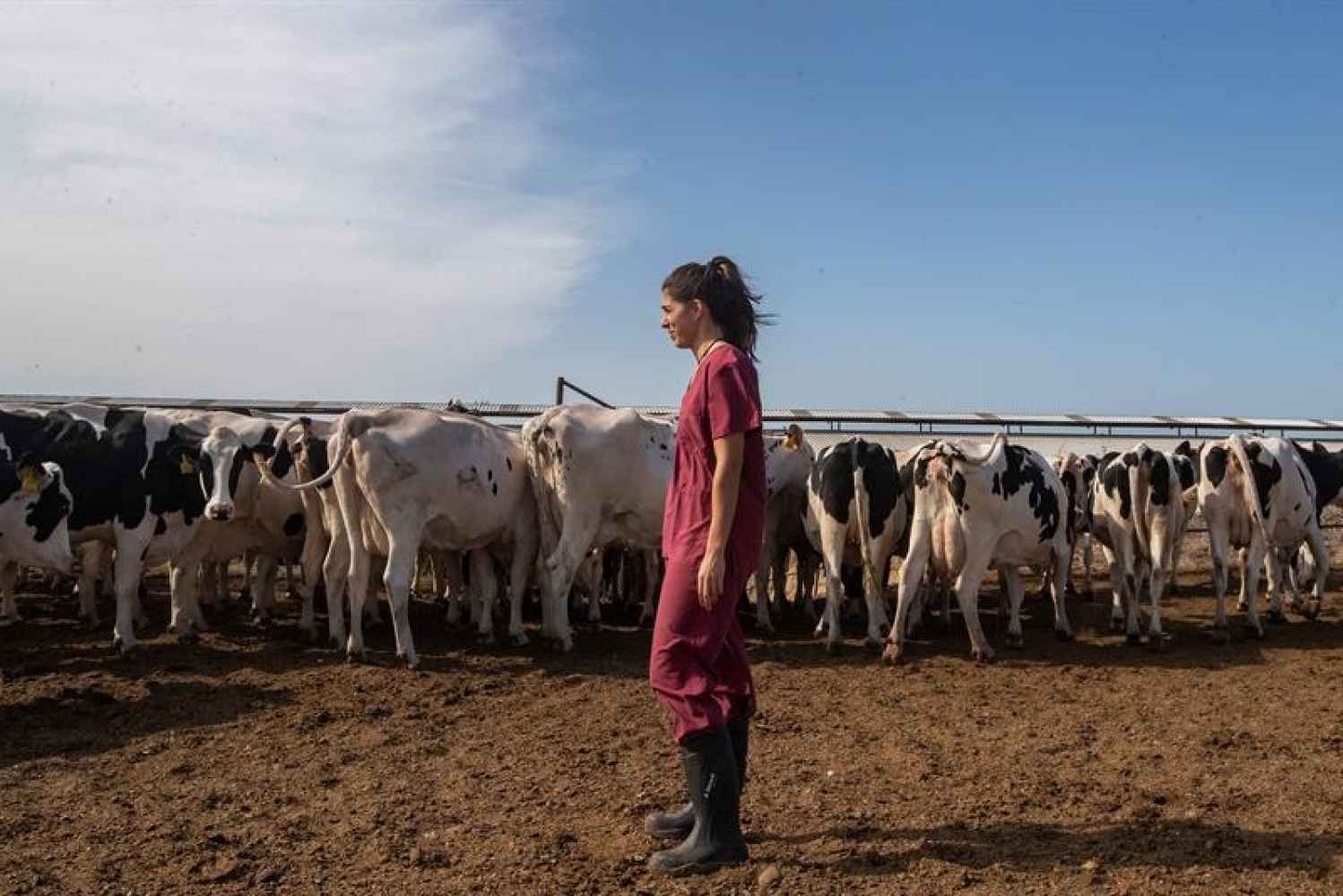Encuentro en El Burgo de Osma para mujeres rurales emprendedoras Encuentro en El Burgo de Osma para mujeres rurales emprendedoras