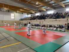Golmayo acoge el Campeonato provincial de Judo