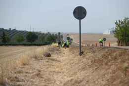 Diputación renuncia a usar herbicidas en cunetas de sus carreteras