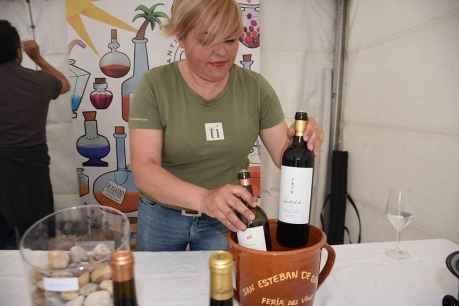 Las Viñas Viejas de Soria resaltan "carácter" de caldos de Ribera soriana