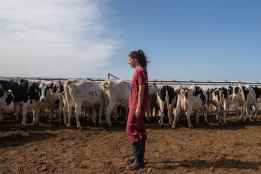 Encuentro en El Burgo de Osma para mujeres rurales emprendedoras  