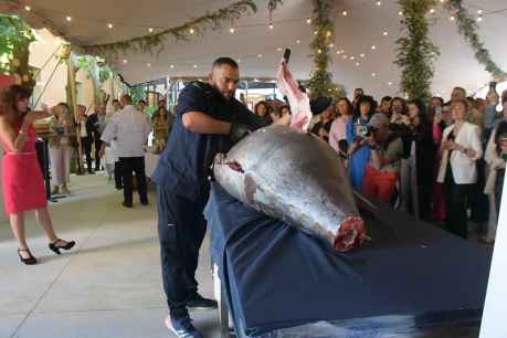 Cámara: ronqueo de atún para abrir 125 aniversario - fotos