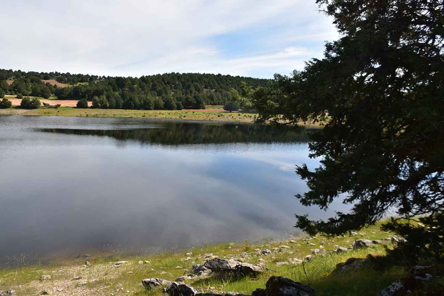 Junio 2024: un mes frío y muy húmedo