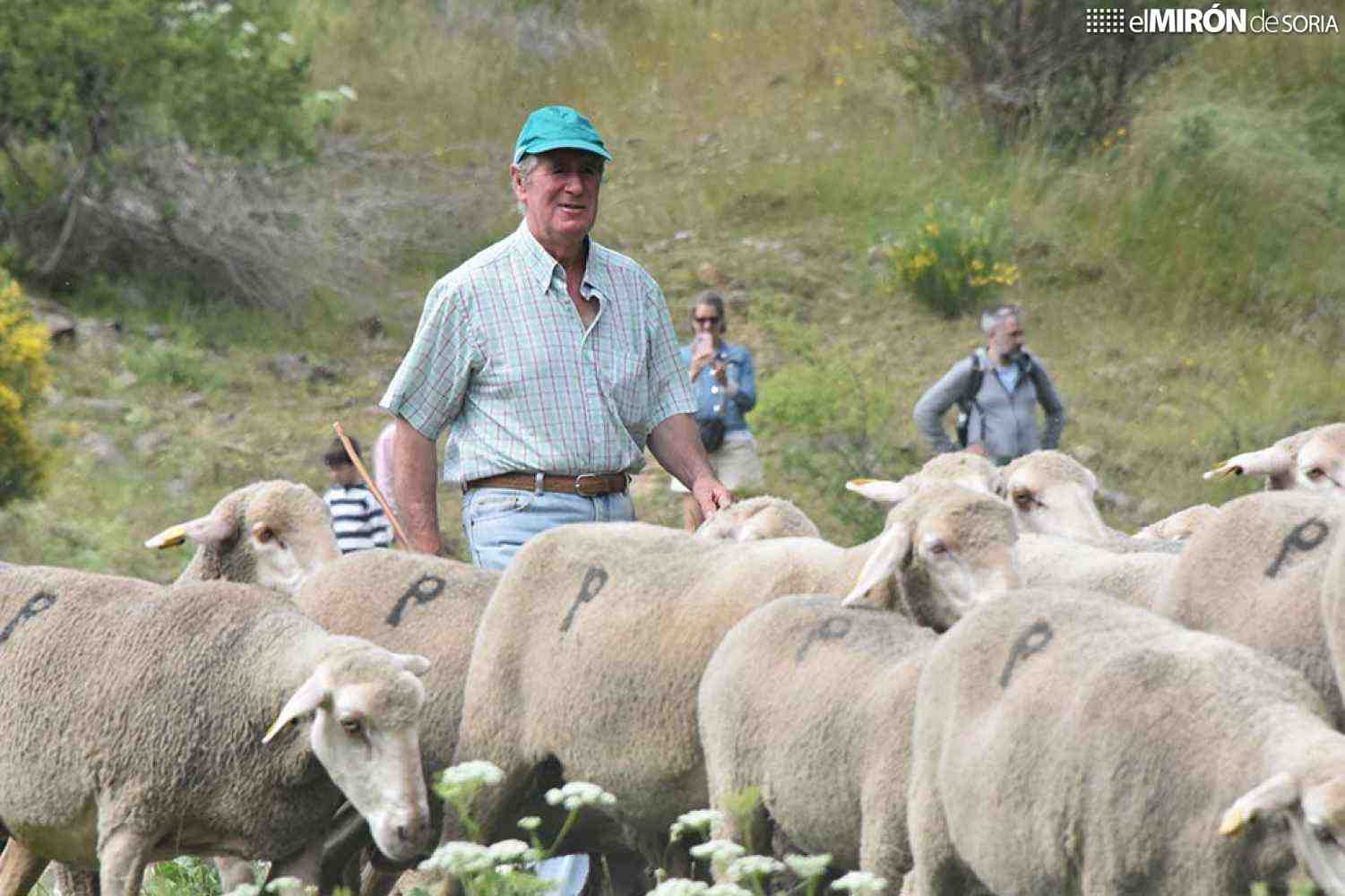 Los últimos pastores trashumantes regresan a Tierras Altas