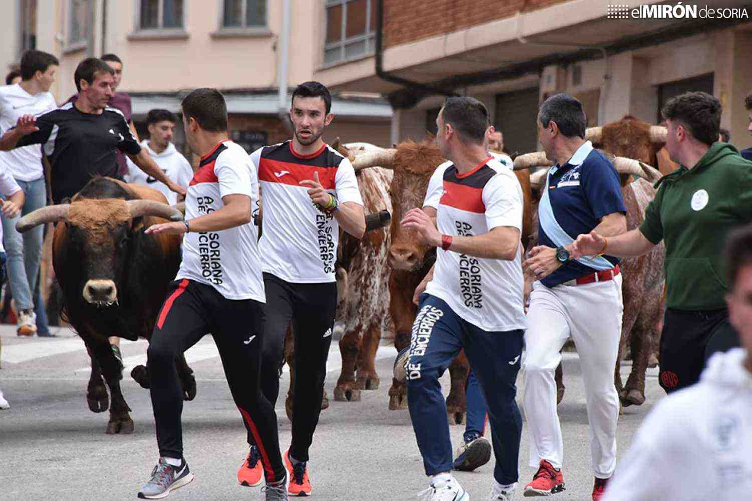 Fundación animalista critica que Soria apoye “encierros infantiles” y su normalización Fundación animalista critica que Soria apoye “encierros infantiles” y su normalización
