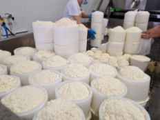 Itacyl trabaja en conseguir productos de queso más singulares