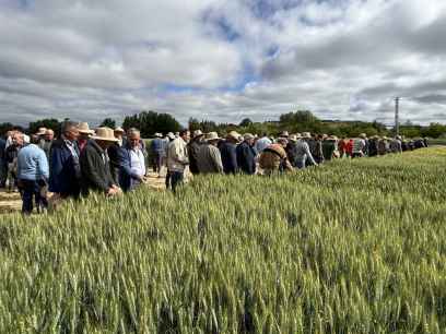 ASAJA Soria intensifica su oferta de experimentación en los campos de ensayo 