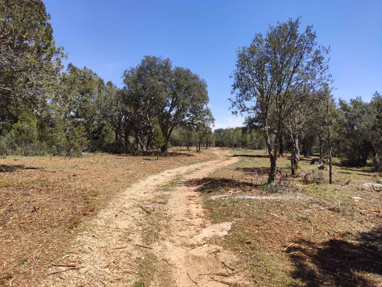 ASFOSO presenta en Teruel proyecto para gestión sostenible de montes abandonados ASFOSO presenta en Teruel proyecto para gestión sostenible de montes abandonados