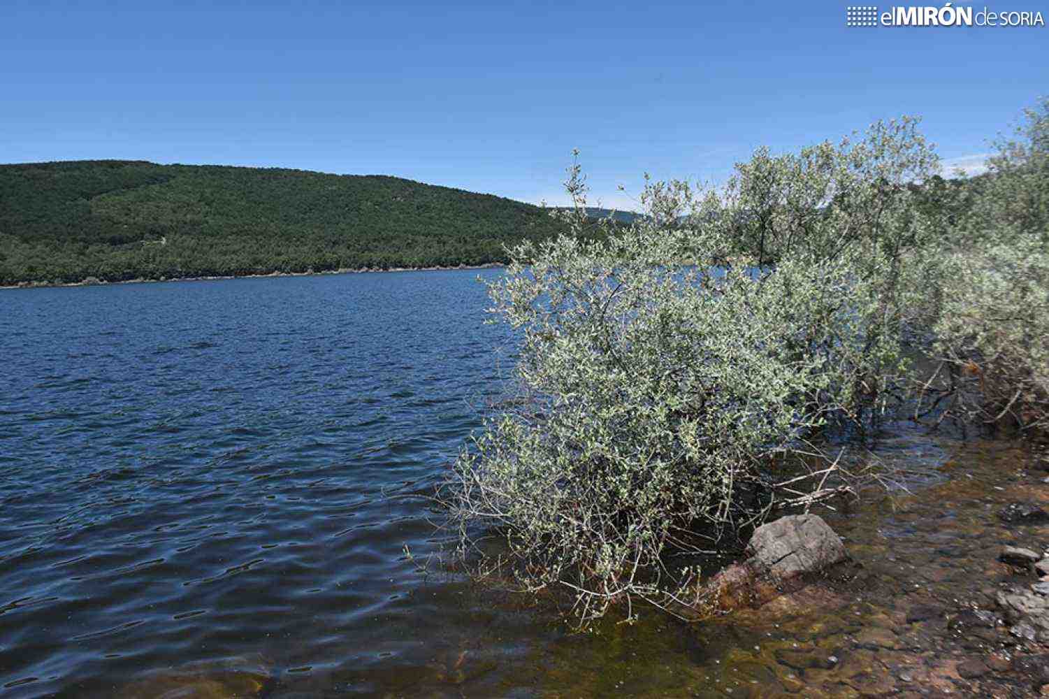 La Cuerda del Pozo gana reservas de agua en última semana