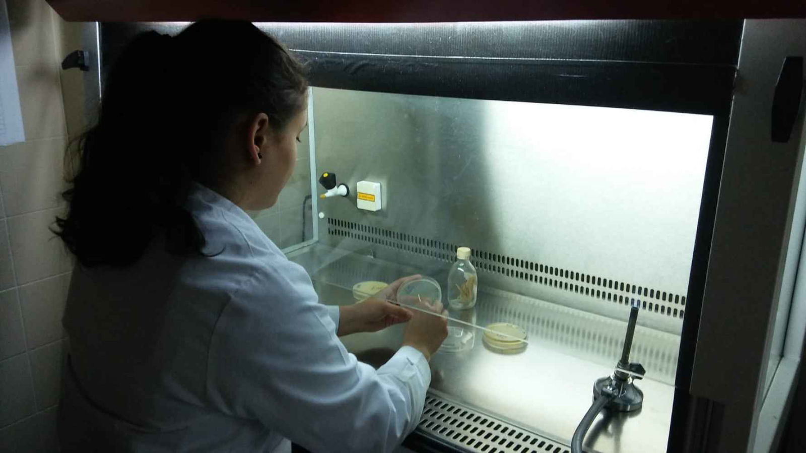 Cesefor estudia bioactivos que reduzcan uso de pesticidasen 