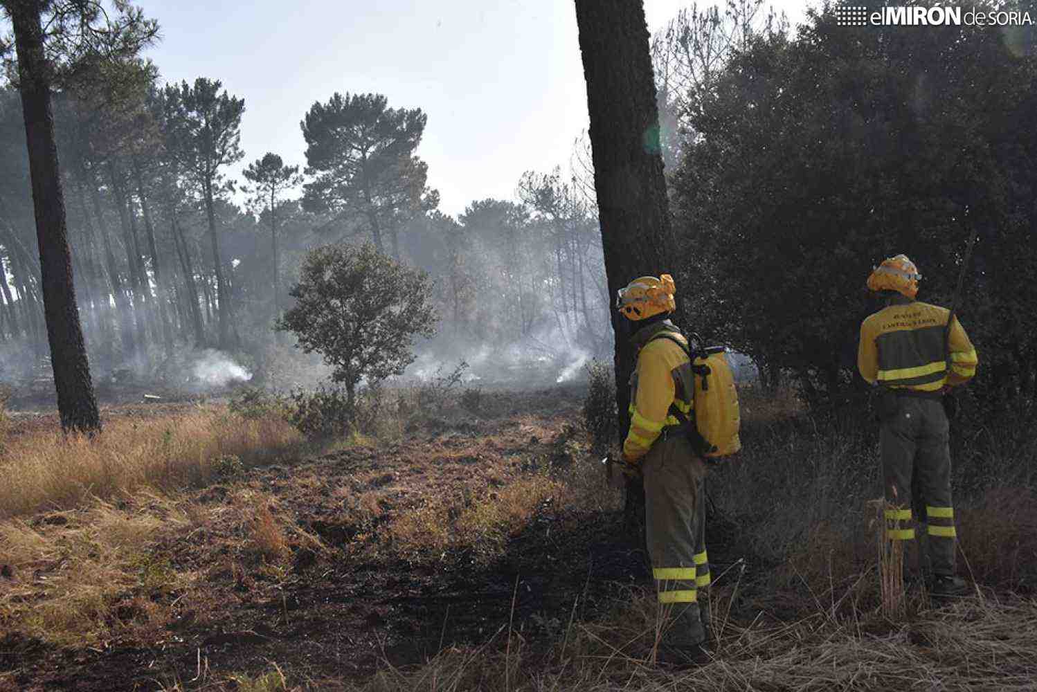 La Junta destina casi 12,5 millones para tratamientos selvícolas en cinco provincias