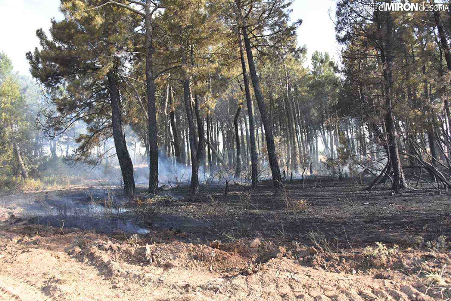 ASFOSO considera lesivo para propietarios el decreto-ley frente a riesgo de incendios forestales