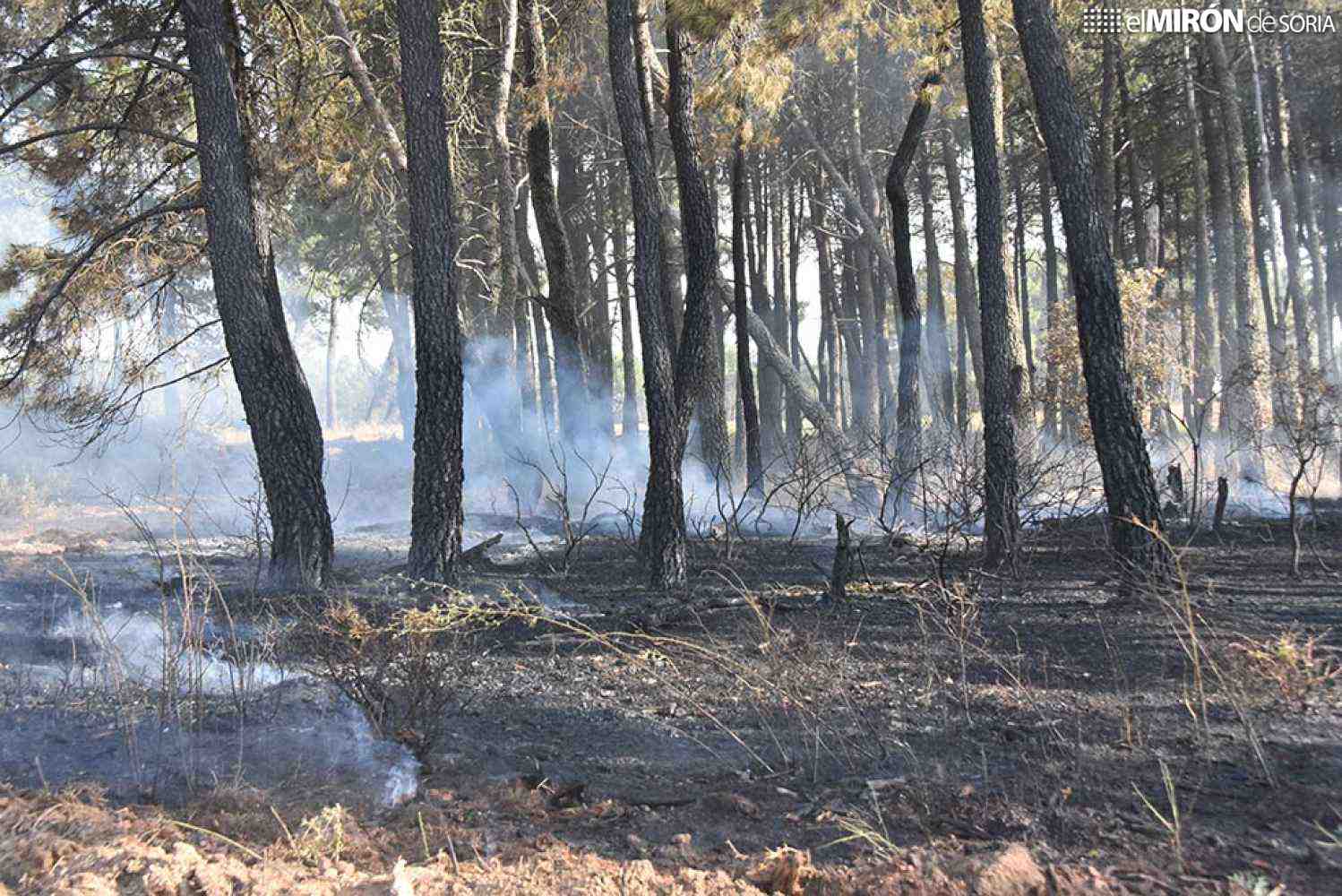 El incendio de Navalcaballo se ha extendido por casi 18 hectáreas