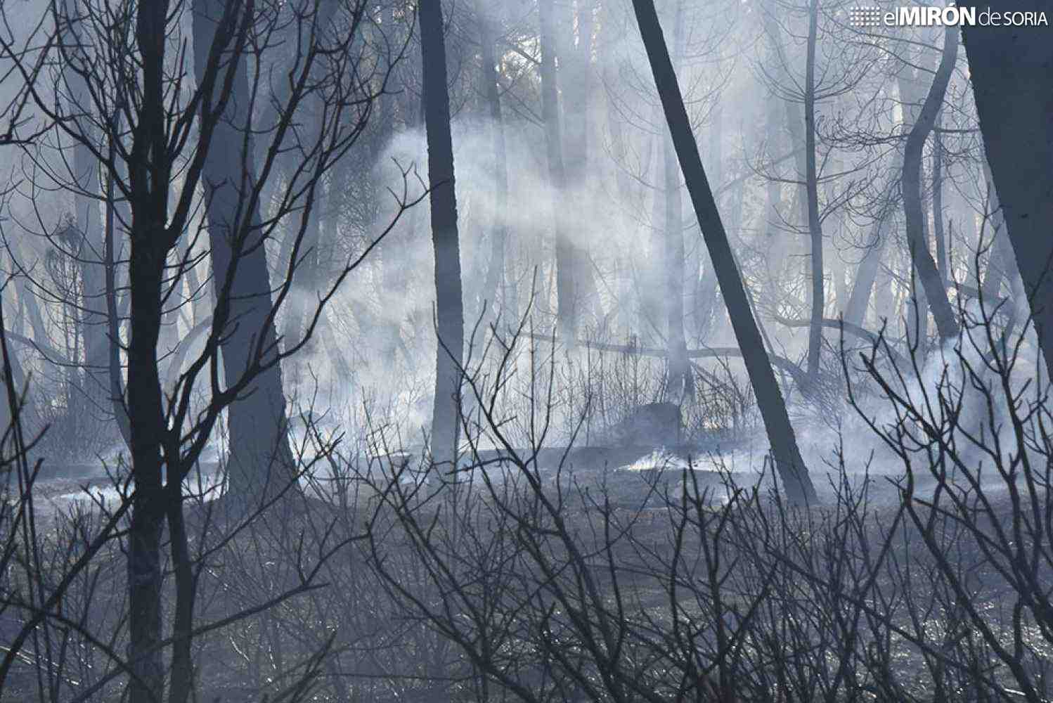 La Junta declara alerta de incendios, por calor en toda la Comunidad, los días 16 y 17 de julio
