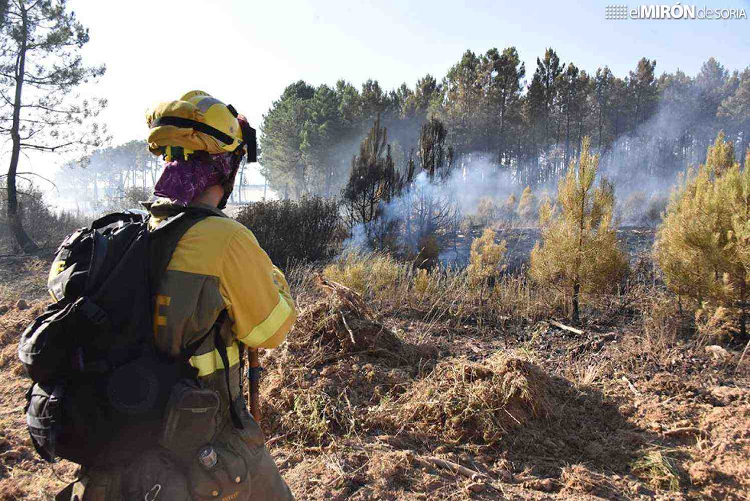 El BOE publica la Ley Básica de Agentes Forestales y Medioambientales