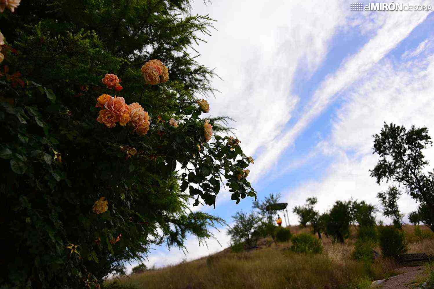 Ágreda convoca los certámenes de poesía y de fotografía