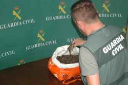 Dos detenidos por comercializar cangrejos vivos en bares y restaurantes de Soria