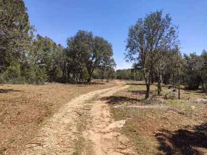 ASFOSO presenta en Teruel proyecto para gestión sostenible de montes abandonados
