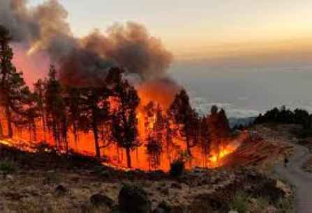 Alerta por riesgo meteorológico de incendios forestales en Castilla y León