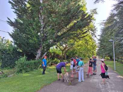 Clase magistral de botánica junto al Duero, en Almazán