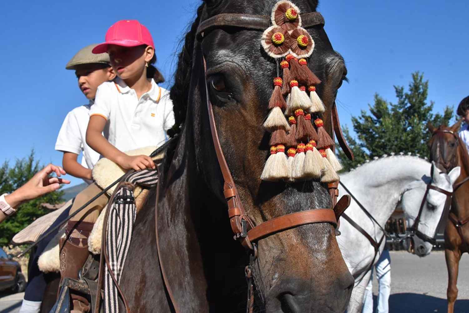 Gallinero: III Jornadas de la Trashumancia - fotos