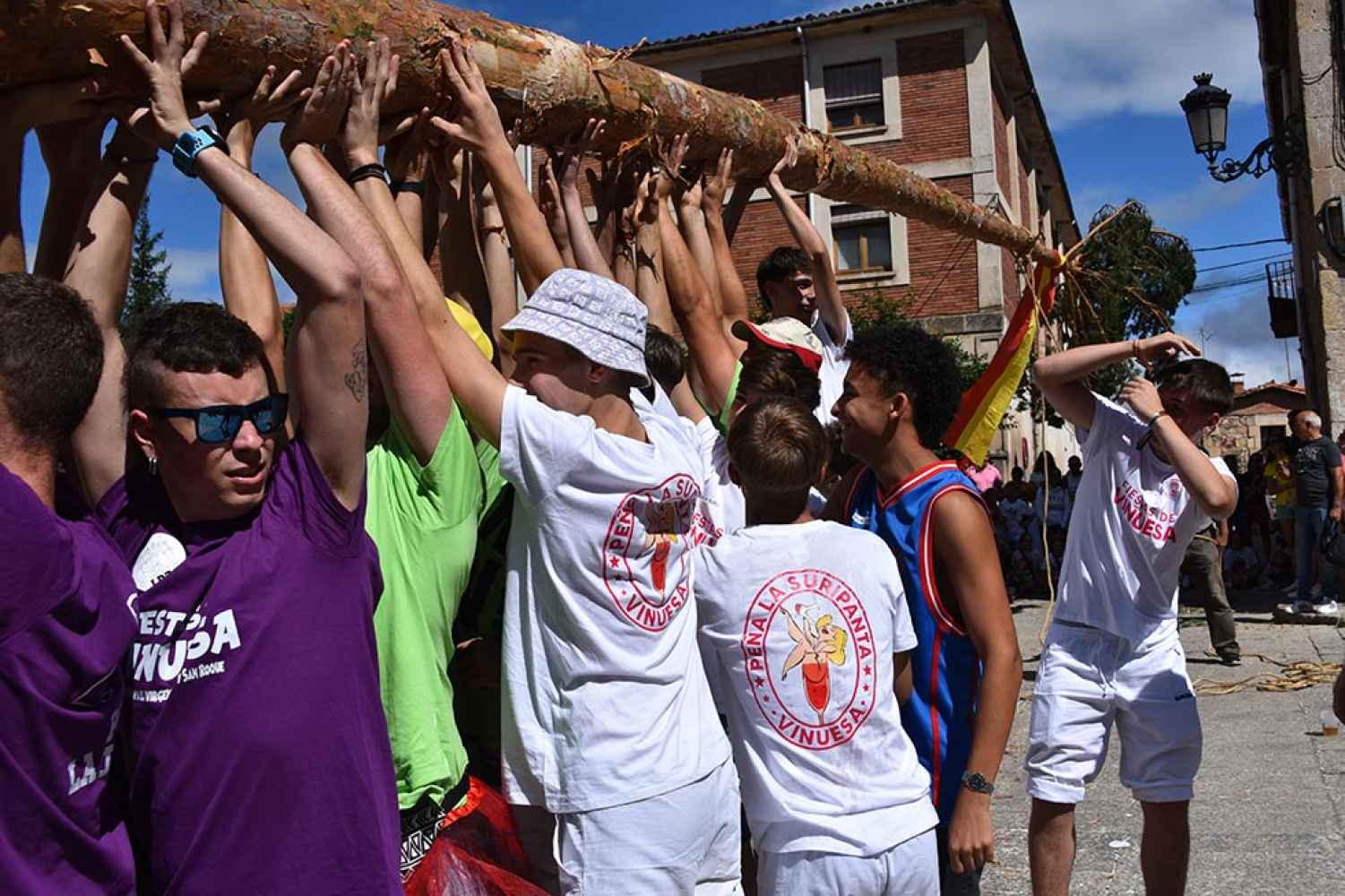 Vinuesa en fiestas: pingada del Mayo - fotos