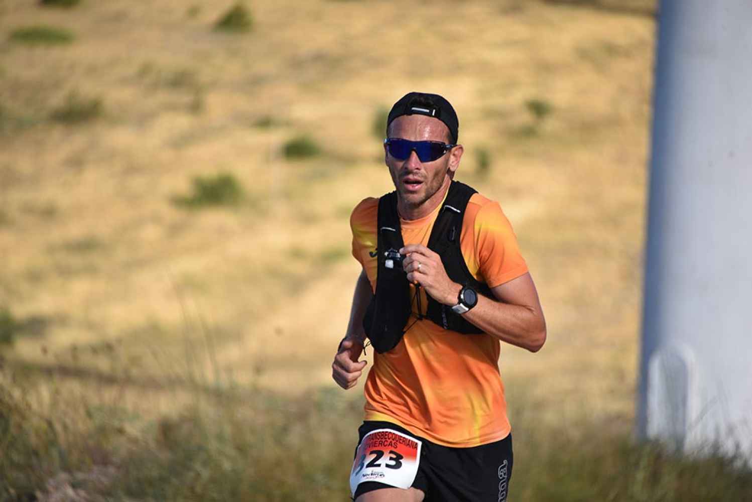 Noviercas: VI Trail Transbecqueriana 20 K - fotos