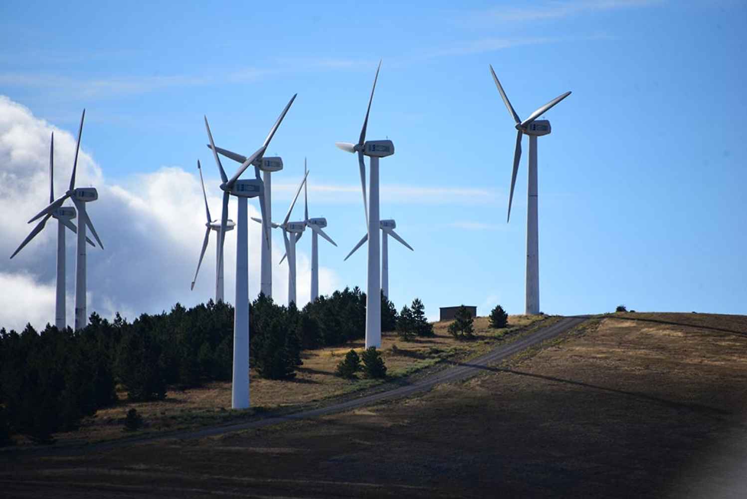 Madero: el parque eólico más antiguo de Castilla y León - fotos