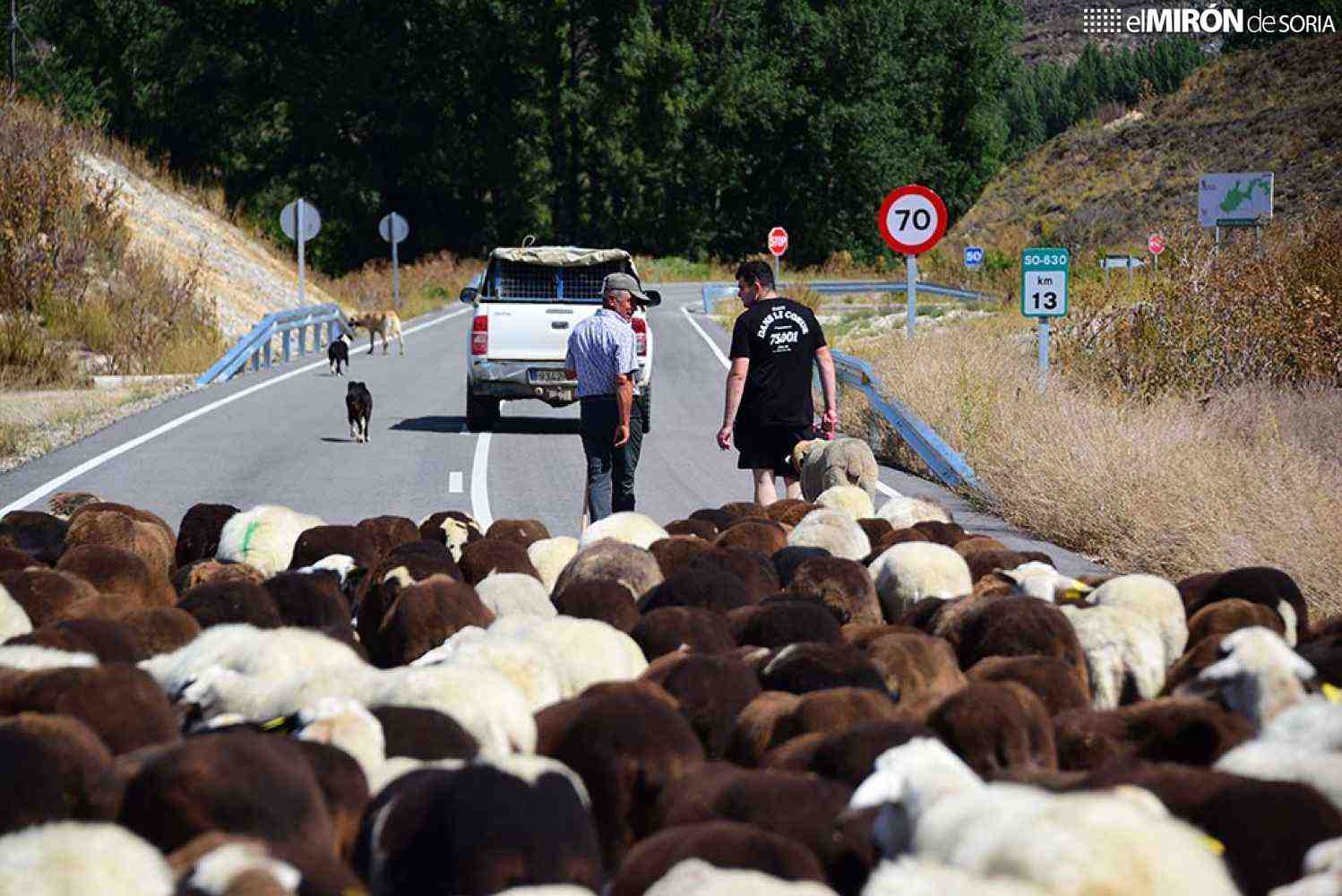 FOES forma a pastores en emprendimiento y competencias digitales junto a Mancomunidades de Tierras Altas