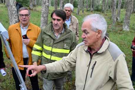 La Junta gestiona 3.548 Montes de Utilidad Pública en la Comunidad