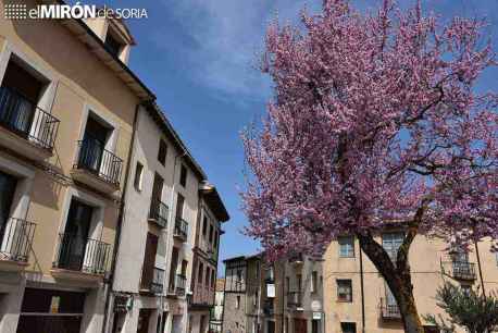 El PSOE se lamenta de bloqueo de moción sobre crisis habitacional en El Burgo