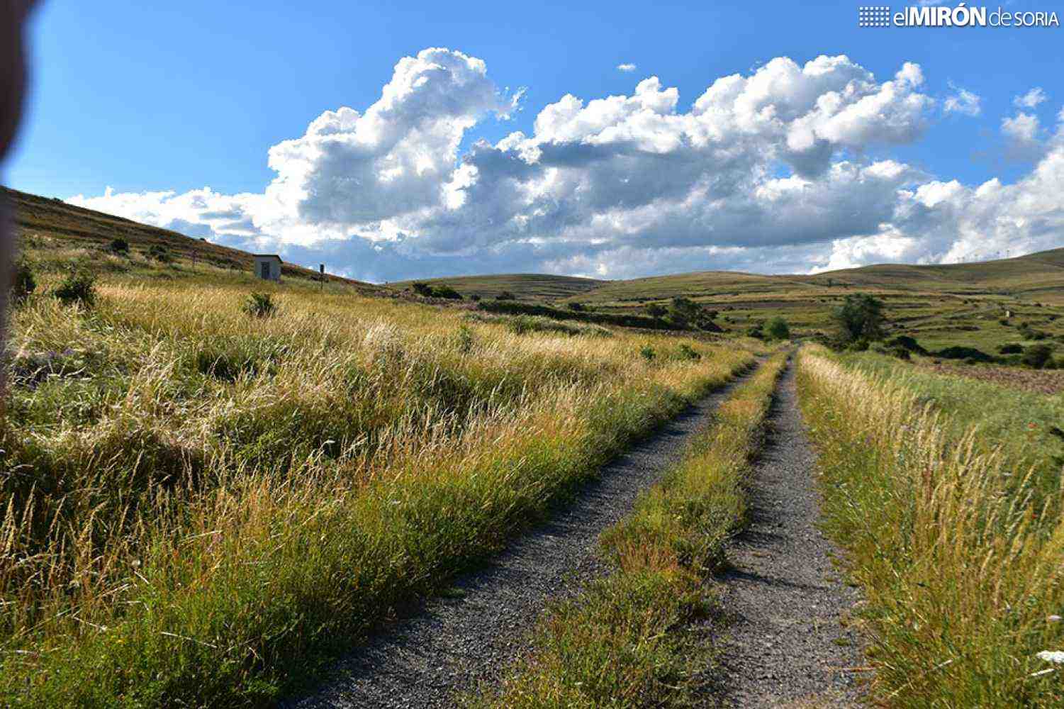 Formalizado contrato para adecuar sendero GR 86 del PSTD Celtiberia Soriana 