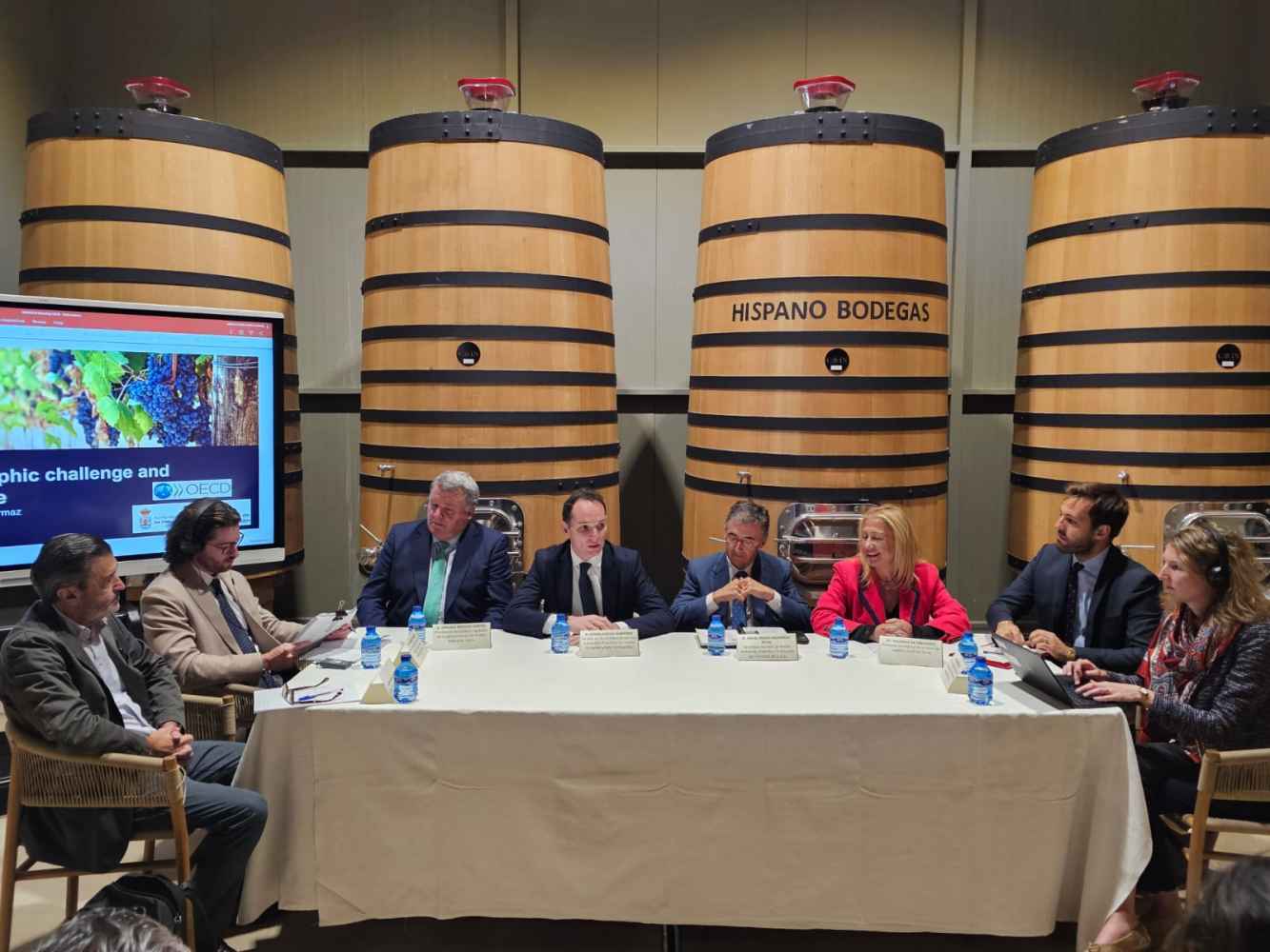 Expertos de la OCDE analizan en San Esteban de Gormaz tendencias y desafíos demográficos Expertos de la OCDE analizan en San Esteban de Gormaz tendencias y desafíos demográficos