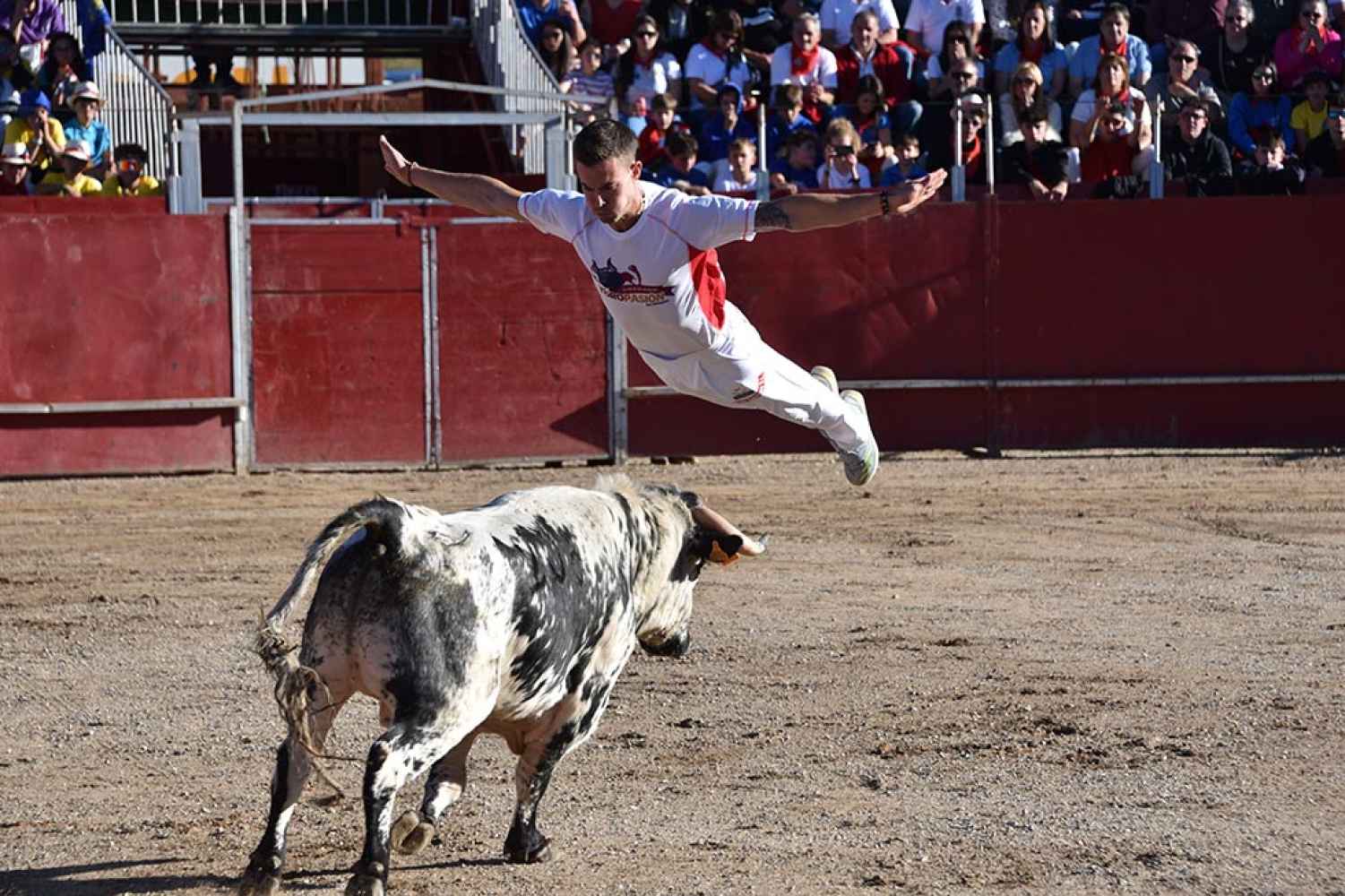 Agreda disfruta del concurso de recortadores con novillos