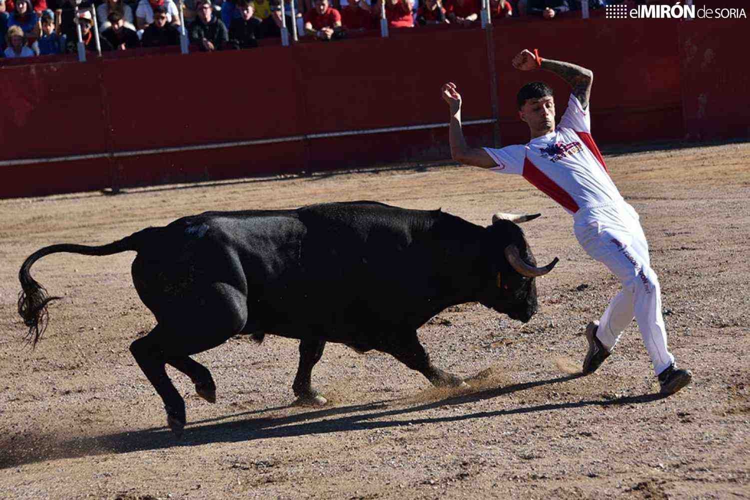 Cuatro recortadores locales aspiran a título en concurso nacional de Soria