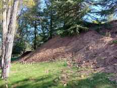 ASDEN denuncia daños en 47 árboles por obras de muralla del castillo de Soria