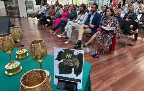 Castilla y León, epicentro del enoturismo mundial con "Vinoinfluencers World Awards"