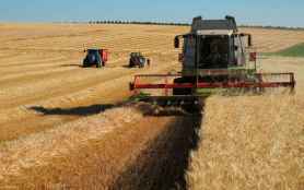 1.461 jóvenes se han incorporado al cultivo de cereal en Castilla y León en los últimos seis años