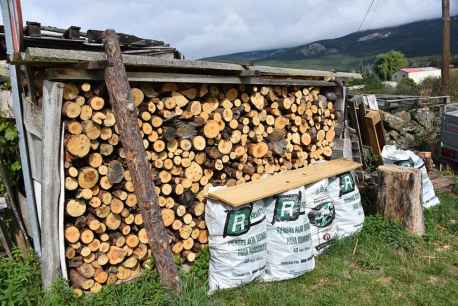 Cesefor participa en Valladolid en jornada para presentar proyectos de bioeconomia forestal