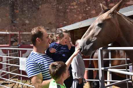 Soria celebra la XIII edición de su feria ganadera 