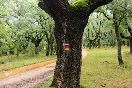 La Junta de los Ríos saluda en Soria al otoño