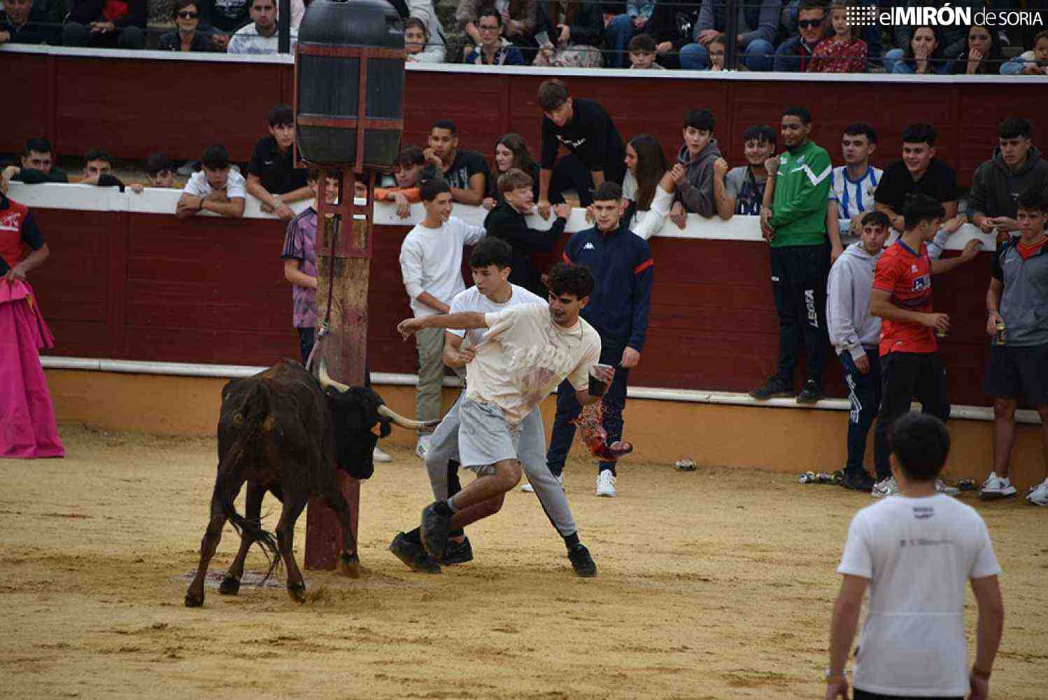 Recortadores, una clase práctica y vaquillas completan festejos taurinos de San Saturio