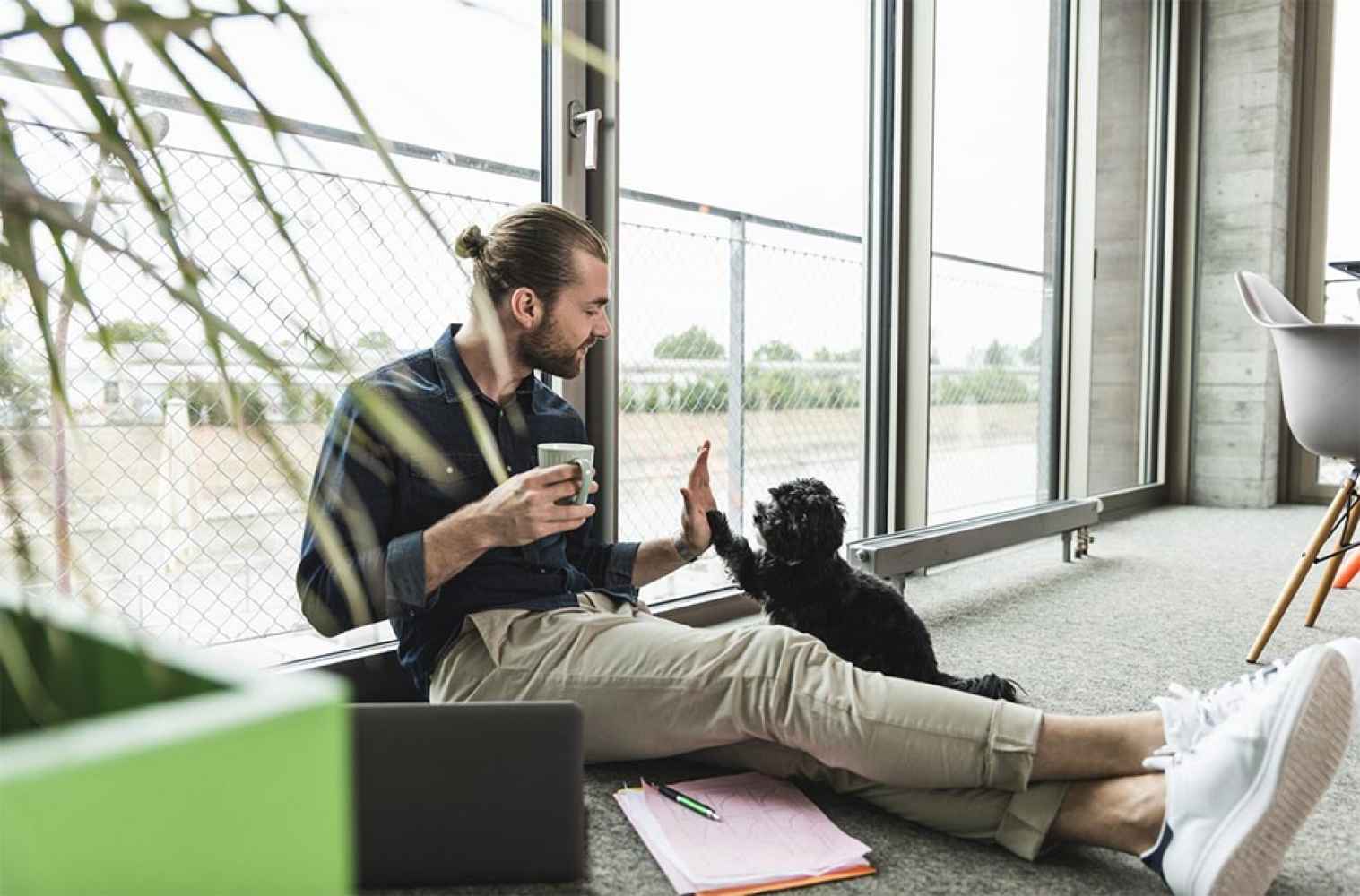Castilla y León, una Comunidad "notable" en ciudades Pet Friendly  