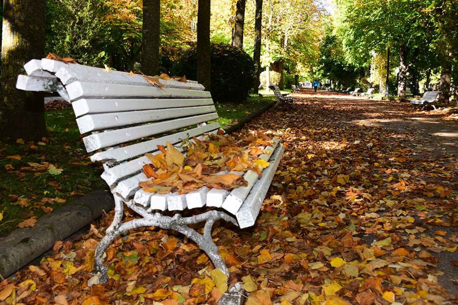 El otoño se adentra, en fotos, en la Dehesa de Soria