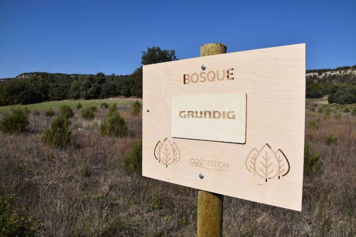 El bosque Grundig neutraliza 1,4 toneladas de CO2 al año en Langa de Duero El bosque Grundig neutraliza 1,4 toneladas de CO2 al año en Langa de Duero