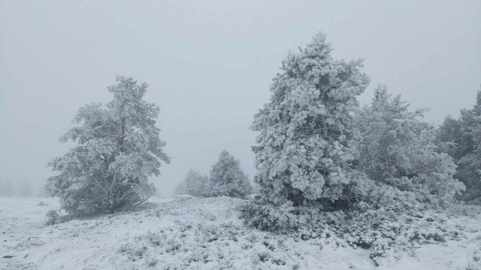 Urbión se tiñe de blanco con primera nevada del otoño Urbión se tiñe de blanco con primera nevada del otoño