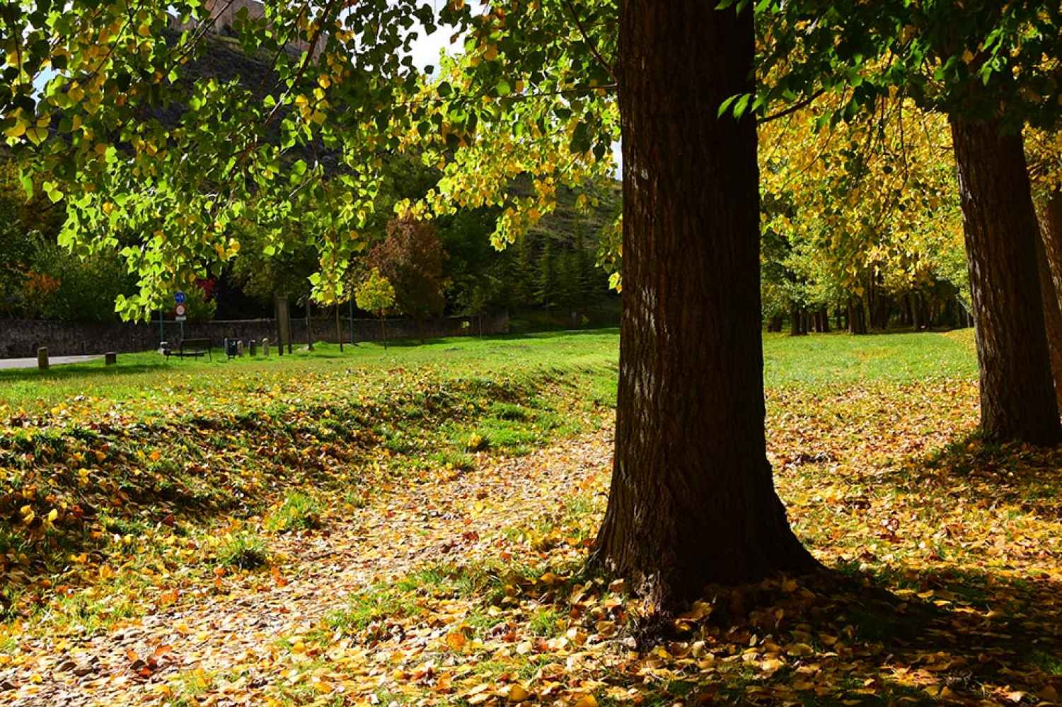 Otoño junto al río Ucero, en El Burgo de Osma-Ciudad de Osma