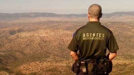 CSIF denuncia "estrangulamiento" a agentes forestales con supresión de 1.300 guardias