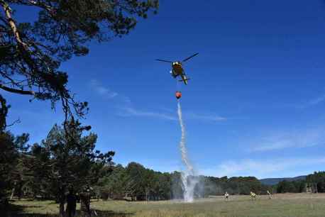 Cabrejas del Pinar celebra su IV Feria Forestal 