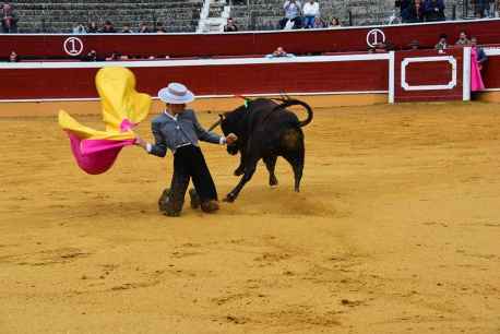 Novillada de promoción en las fiestas patronales de San Saturio, en Soria